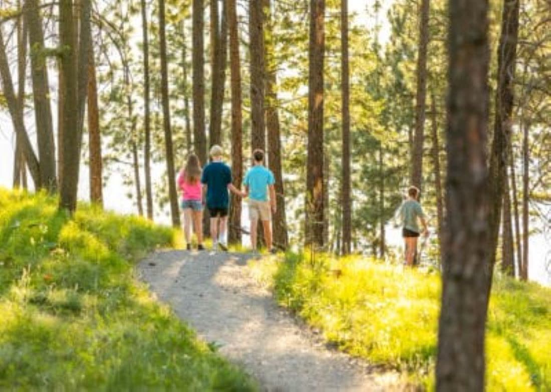 Walking trail through the pines at McKinley Beach