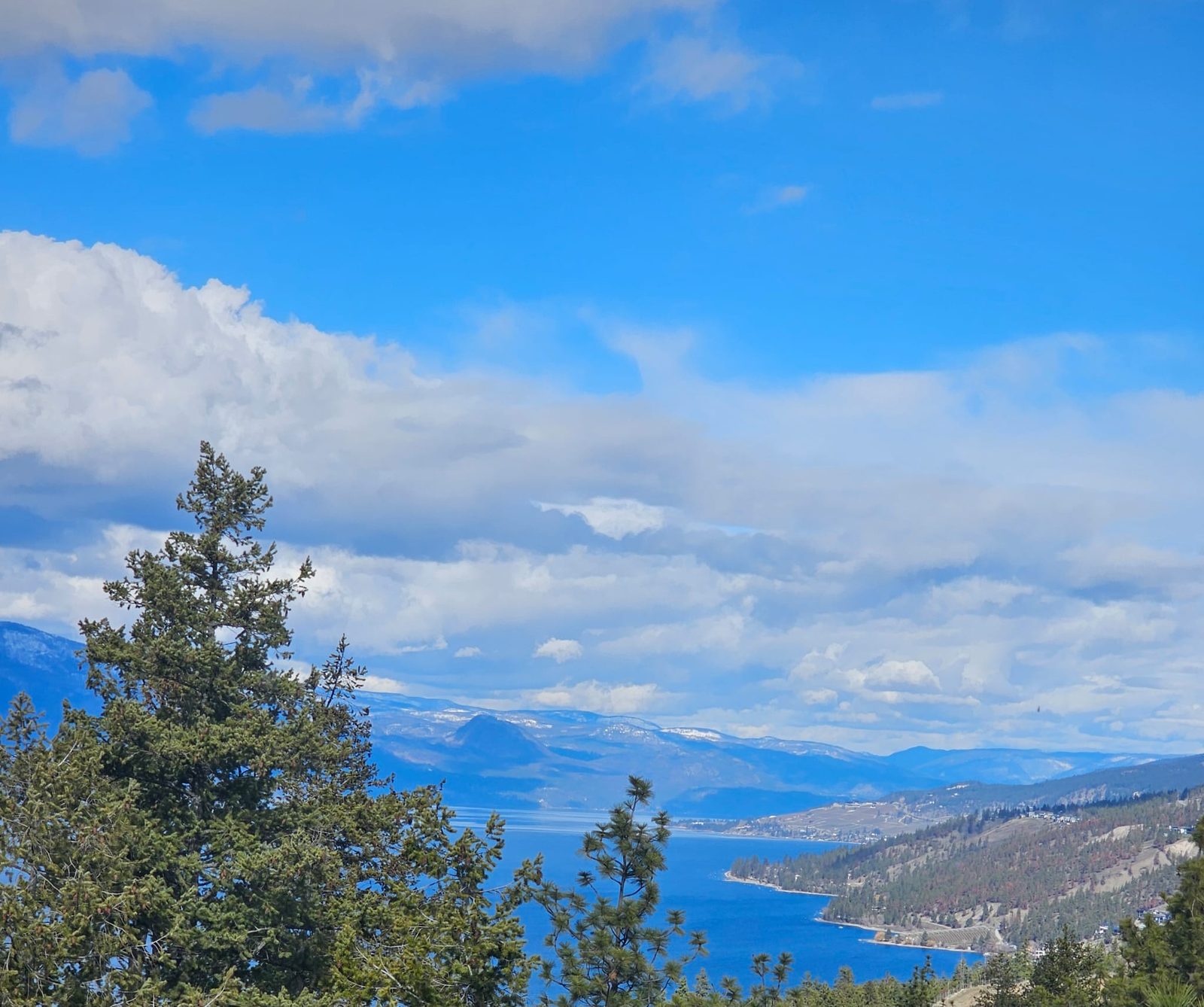 Looking down the lake